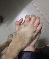 û�����˵����˽�