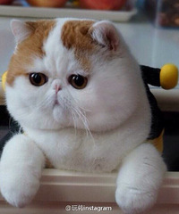 ���鲻�������㷢һ��