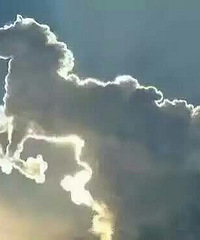 ������ƺ���