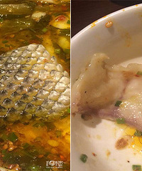 ���ߣ������˺��� ��������������������