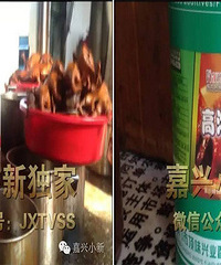 ���ؽ�Ѽ����  �ʸ����ڲ�Ӭ��ˮ������