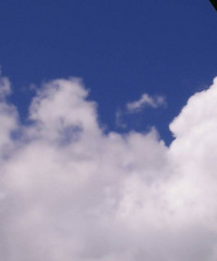 �����������������ֳ�����������ľ�ɫ