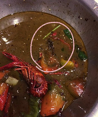 ���ģ�����ĳ����С��Ϻ��Գ�һ��������ë��...