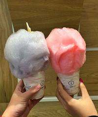 ֻ��Ҫ�Ի��