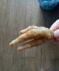 ���������ļ�צ ����ζ �����²˸ոպã�