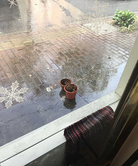 С��¶̨��Ȼ��ɳ�ˮ��   ¥����������಻���ԡ���