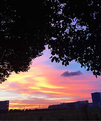 ÿ������춼��������