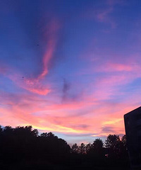 ĺɫ�е����ͣ�