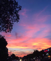 ĺɫ�е����ͣ�