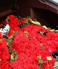 ����+õ�壡��Ů�������������