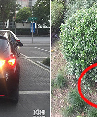 �ε�˾��̰ͼ�ҵ��ֻ� �������ڲݴ���