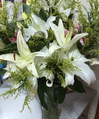 ƽ��������