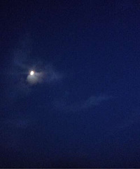 �����ҹ�ر�����ÿ������һ�����¹����ϣ�