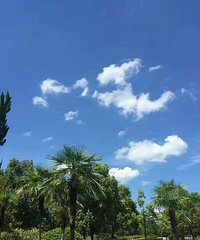 ������ƺ���