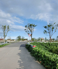 �������������������