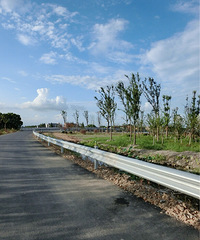 �������������������