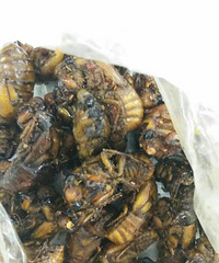 [�ؿ�ζ]�����һ��û�Թ��������ˡ���