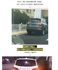 ͩ��ĳ���Ӽݳ��޹� �ֶβ���������ŭ ��������֤�����������