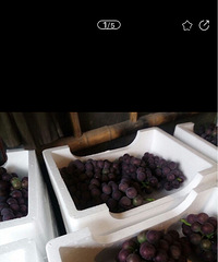 �ܱ��������ժ����