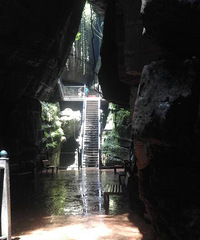 �����桫����