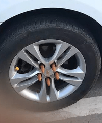 ����·������һ���� ������̥��Ƥ����������