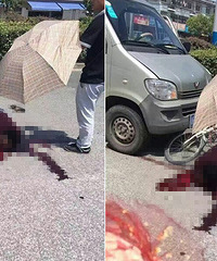 �������㳡�������س��� �ֳ�Ѫ�ȣ�