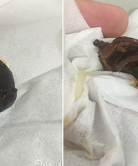 ʲô���������������о�Ȼ�Գ������