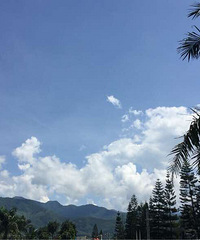 ��ҹ����