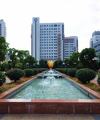 ����Ϣ���Ϻ�����ҽԺ�����˿�"�ֺ�" ר������������