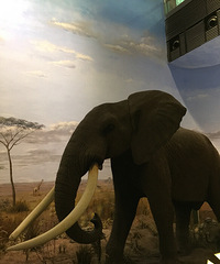 �Ϻ���Ȼ�����һ��