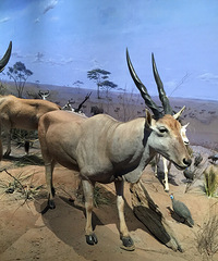 �Ϻ���Ȼ�����һ��