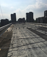 ֮ǰȥ���ֳ��ڷ������ĵģ�  ������