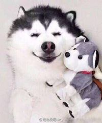 ������ѧ�����٤�ĵط��㣿