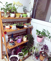 ���ϻ�����  ����Ҫ��ס��  ��ˬ����