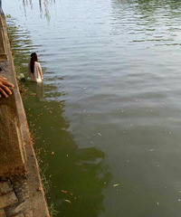 ͻ��������һ����Ů������о������Ϻ����º� ��Ӱ�е�����