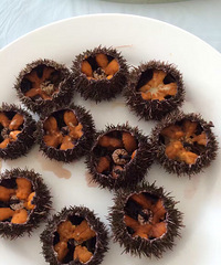 �Ի���֪������ɶ