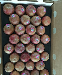 ���óԵĿ�����