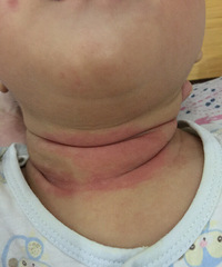 �����ơ���ҽ��������������Ƚ϶࣬�����ﶼ����