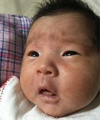 ���ơ�������������Ϊ�ˡ�