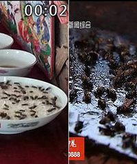 �ܼ��־�֢�������㣡�������ݡ���Ӭ��ս��