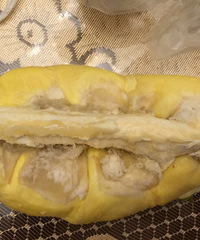 �Ի�����ѡ