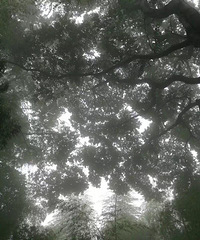 ��������⾳