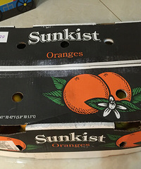 ���޵ĳ���