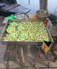 �����Ϻ����Ѿ�������������һ������Ϣ ����û�Ǽۣ�����