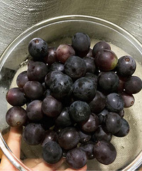 ������ʵfans