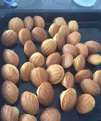 ��ҹ���Ŷ�