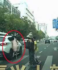 ��԰������ֳ��£�ԽҰ��ײ������Ů��