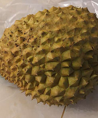 �������������ĳ���