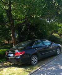 �������ºó���