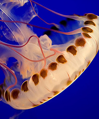 [ɶ��]�˰۰�����ĩ8¥��ˮĸչ~���20��Ʊ����ã�